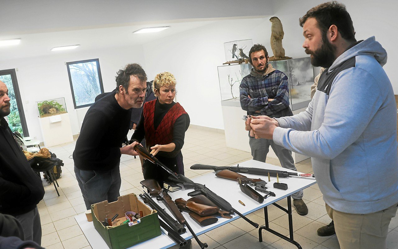 Pour lutter contre la prolifération des sangliers, ces paysans du Finistère deviennent chasseurs