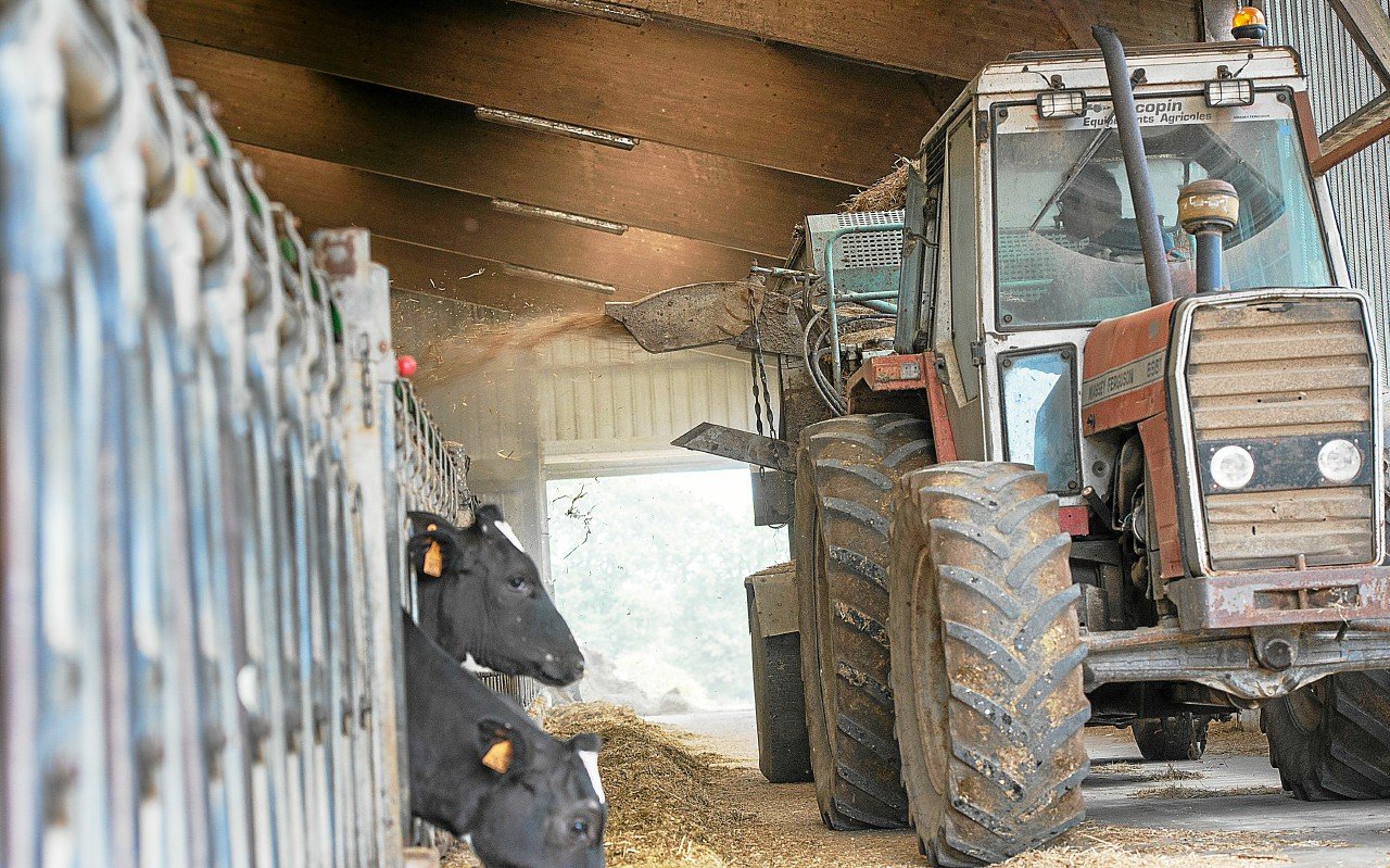 Agriculture, aide à domicile, restauration… Quels sont les métiers en tension en Bretagne qui justifient la régularisation de sans-papiers ?