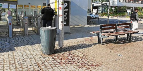 Meurtre à la machette à Rennes : la jeune femme qui a filmé l’agonie de la victime sera jugée en juillet
