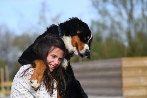 Les chiens, ces compagnons qui nous font du bien