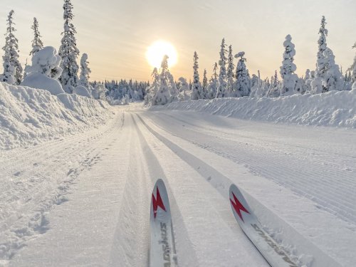 Langlaufen Norwegen – Unsere besten Tipps für den Skilanglauf Urlaub in Norwegen