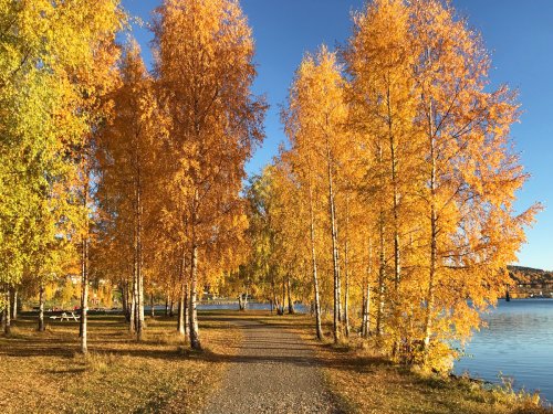 Norwegen Urlaub im Herbst – 9 Gründe, warum wir diese Jahreszeit so lieben