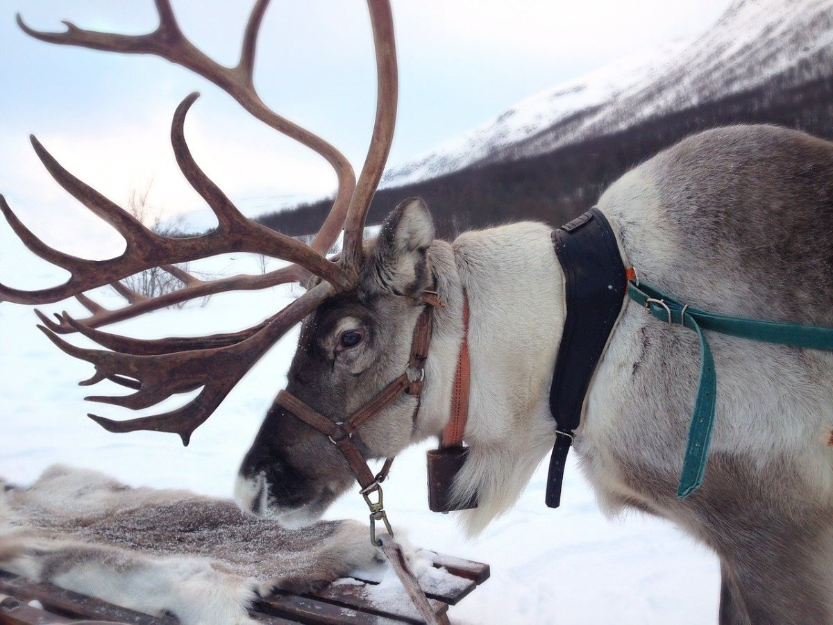 7 Dinge, die Weihnachten in Norwegen so besonders machen.
