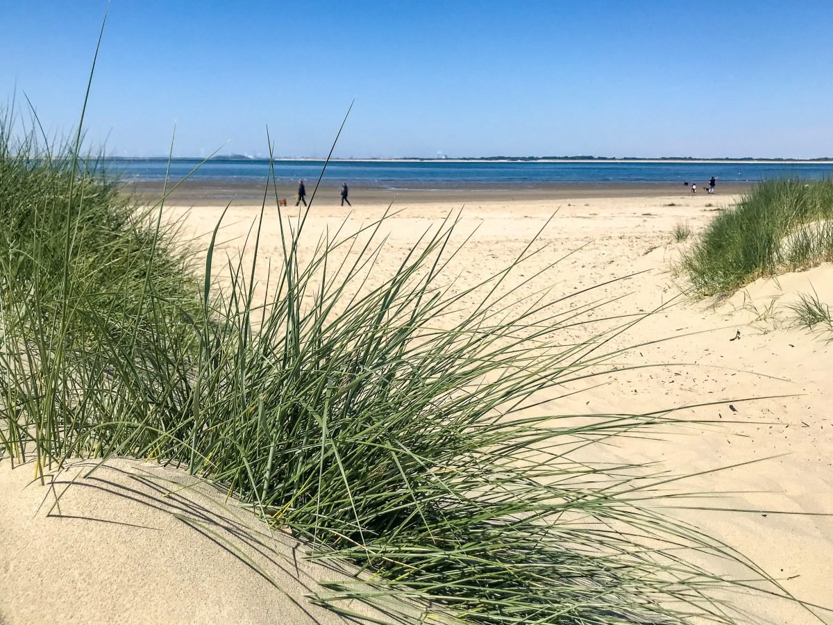 Wo ist Holland am schönsten? - Drei Ideen für den Natur Urlaub in Holland