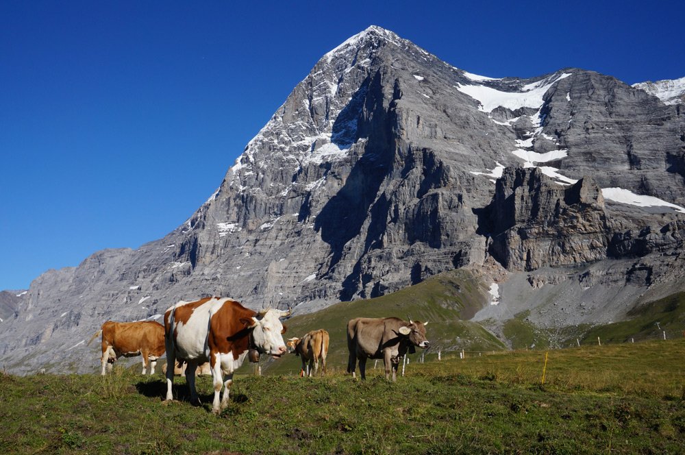 Hüttenwanderung Schweiz - Wanderwochenende im Berner Oberland mit Kind