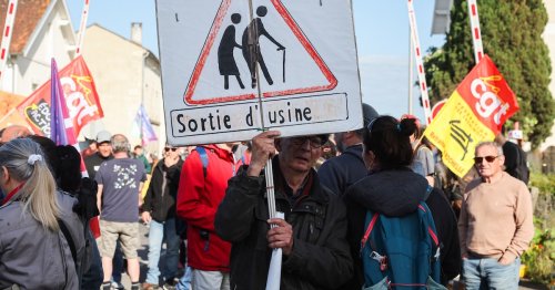 "En Europe, les retraites représentent la moitié des dépenses sociales !" : l'éclairage de Julien Damon