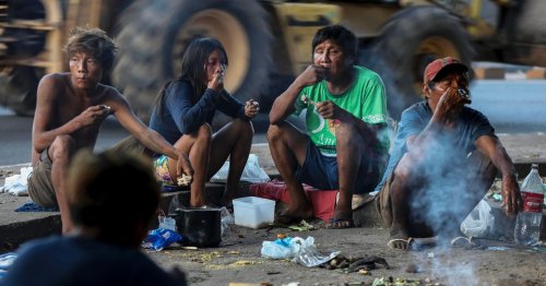 Orpaillage, paludisme, déforestation... Au Brésil, la lente agonie des Yanomamis