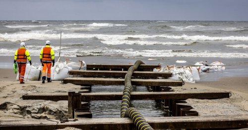 Câbles sous-marins en mer Baltique : face aux risques de sabotage, la course à la sécurité