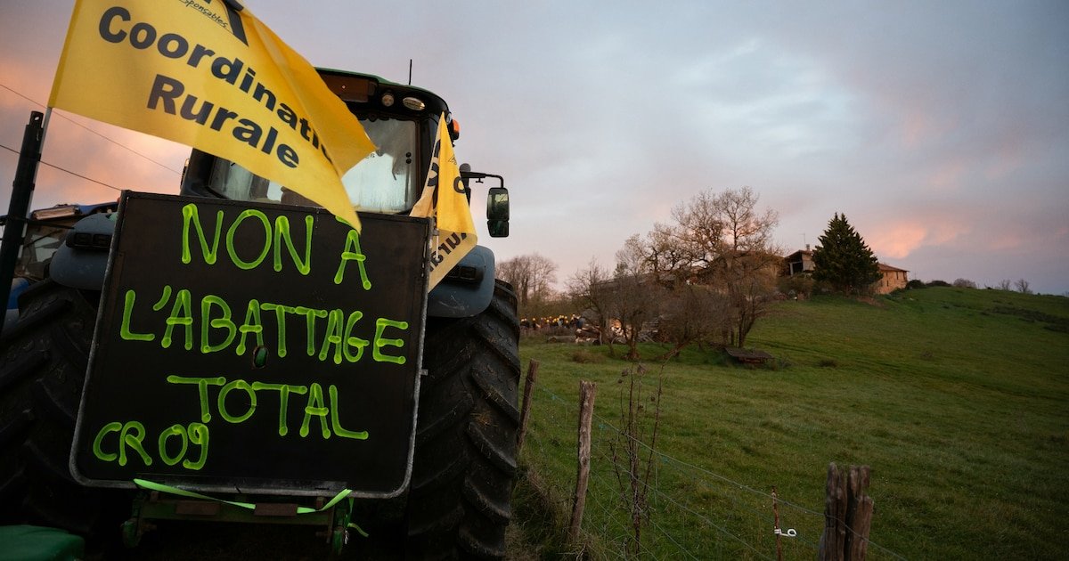 Derrière le Mercosur et la dermatose, une agriculture française en péril