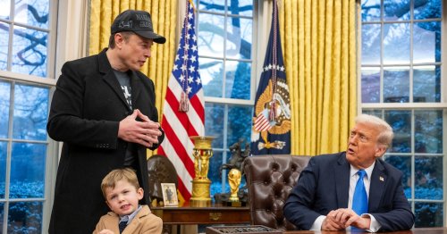"Elon Musk a été naïf" : comment le patron du Doge s’est pris les pieds dans le tapis