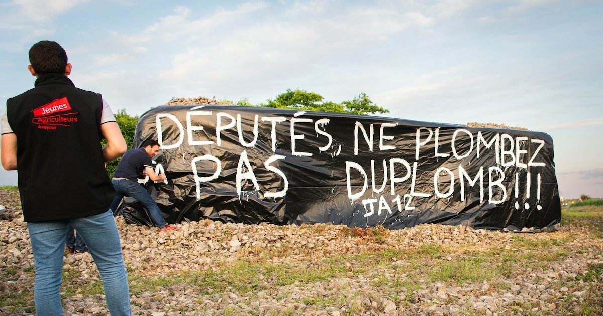 Avec ou sans loi Duplomb, l’agriculture française se meurt