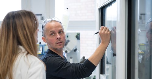 Cancer : Raphaël Rodriguez, le chercheur qui a trouvé la faille des métastases