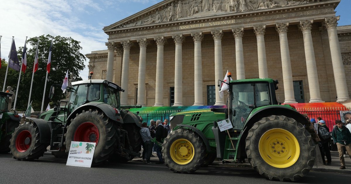 Censure de la loi Duplomb : la politique agricole française est un désastre, par Jean-Luc Demarty