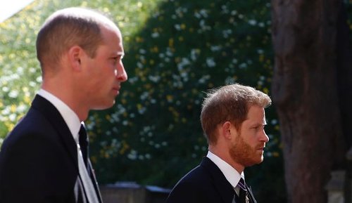 Les princes William et Harry se retrouvent pour inaugurer une statue de leur mère Lady Di