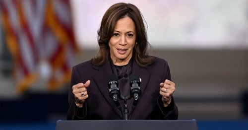 Cinq mois après sa défaite face à Donald Trump, que devient Kamala Harris ?