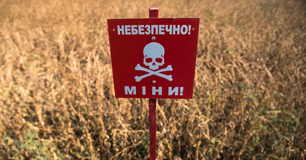 « C’était terrifiant » : la guerre sans pitié de Poutine contre l’agriculture ukrainienne