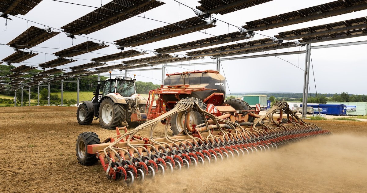 Comment votre épargne peut soutenir l’agriculture française