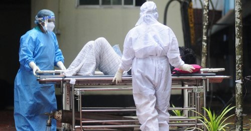 "Ça pourrait être catastrophique" : Nipah, le virus qui inquiète la communauté scientifique - L'Express