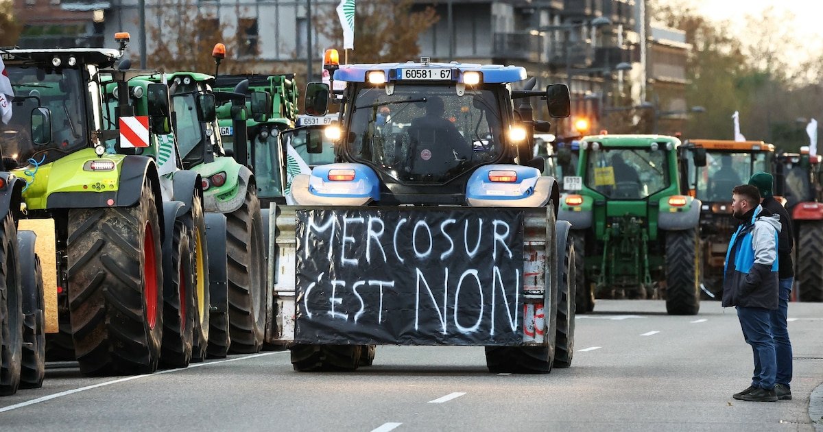 A quoi ressemblera 2025 pour les agriculteurs ? La crainte d’une nouvelle année noire