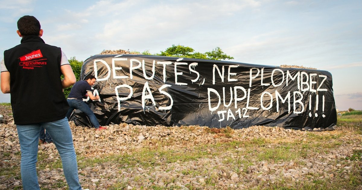 Loi Duplomb sur l’agriculture : le Parlement adopte définitivement le texte