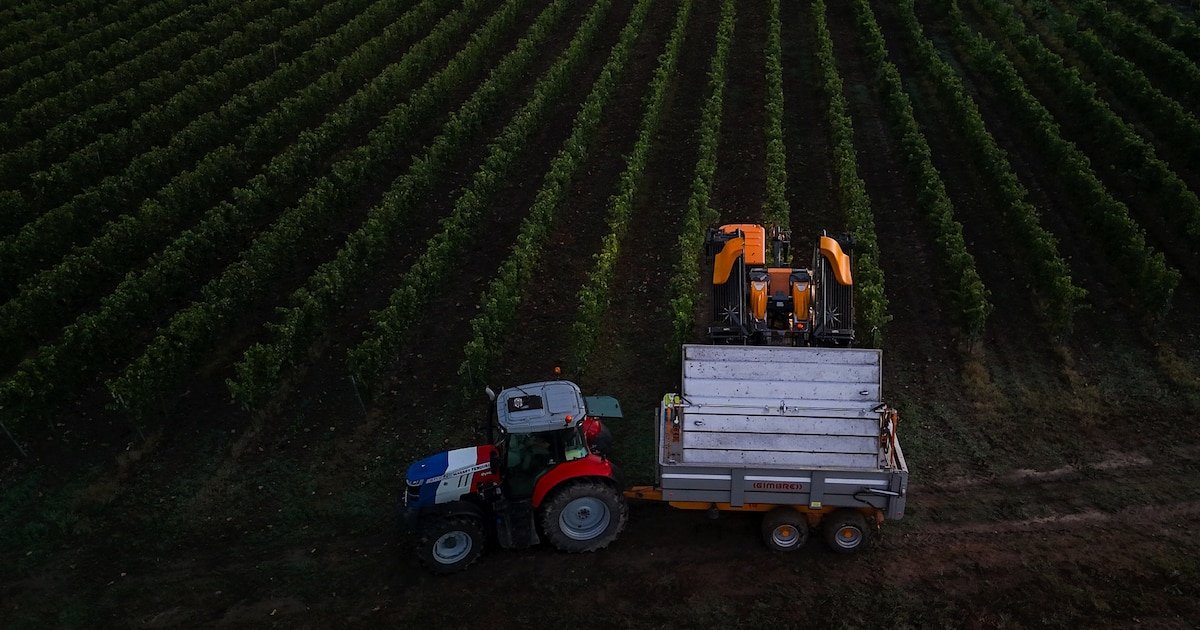 Pesticides : pourquoi Santé publique France ne sonne pas l’alerte