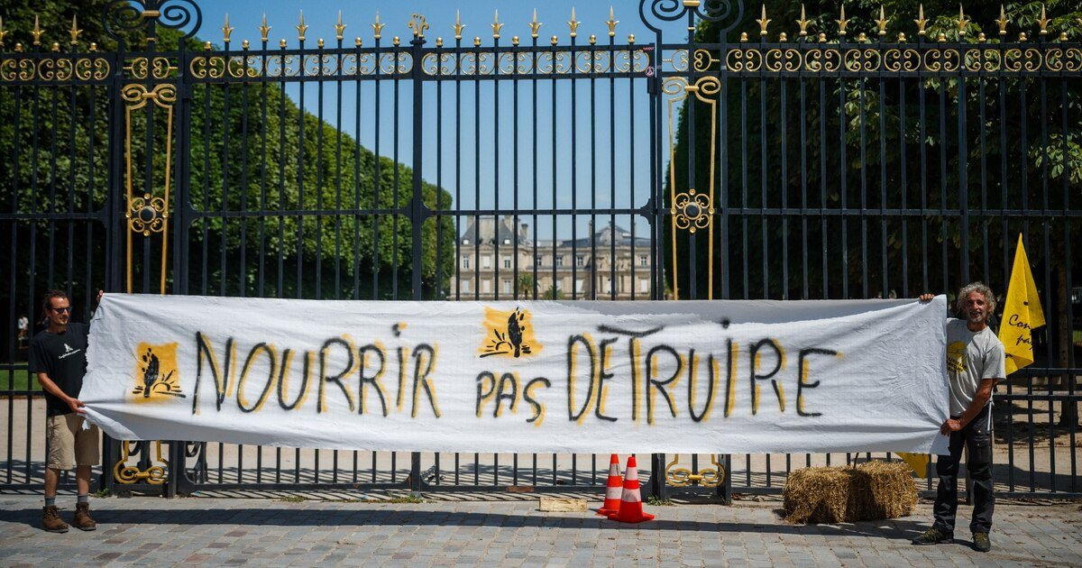 Quel avenir pour la loi Duplomb ? Quatre questions après le succès inédit de la pétition contre le texte