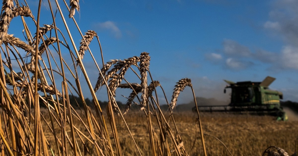 L’Union européenne ouvre la porte à une nouvelle génération d’OGM non « transgéniques »