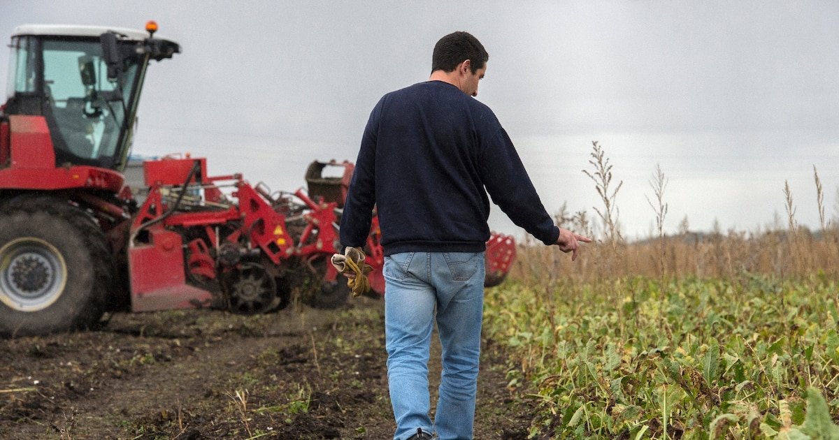 Loi Duplomb : « Je suis fille et petite-fille d’agriculteurs, et j’ai peur de l’image que l’on dresse d’eux dans les médias »