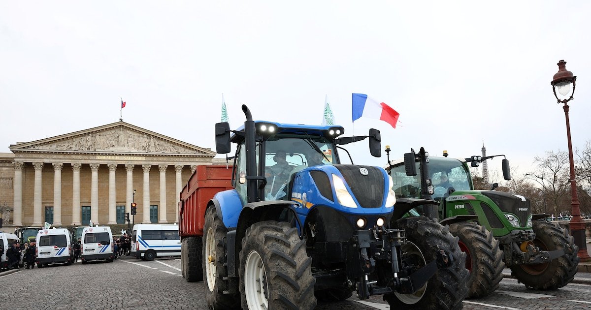 Fredrik Erixon, économiste suédois : « Sur le Mercosur, la France entretient ses agriculteurs dans le mensonge »