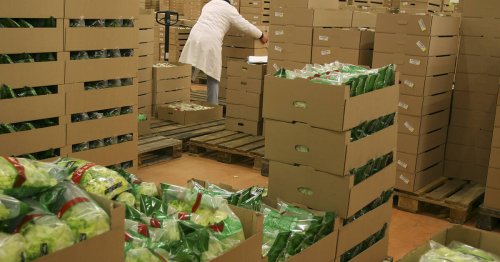 Salades en sachet : une grande majorité présente des traces de pesticides, selon «60 millions de consommateurs»