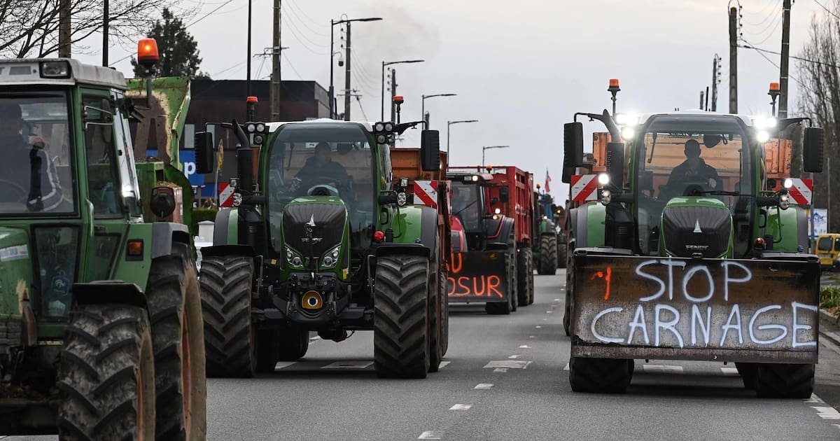 Epidémie de dermatose : les agriculteurs, prêts à ranger les tracteurs pour Noël, exigent des «garanties»