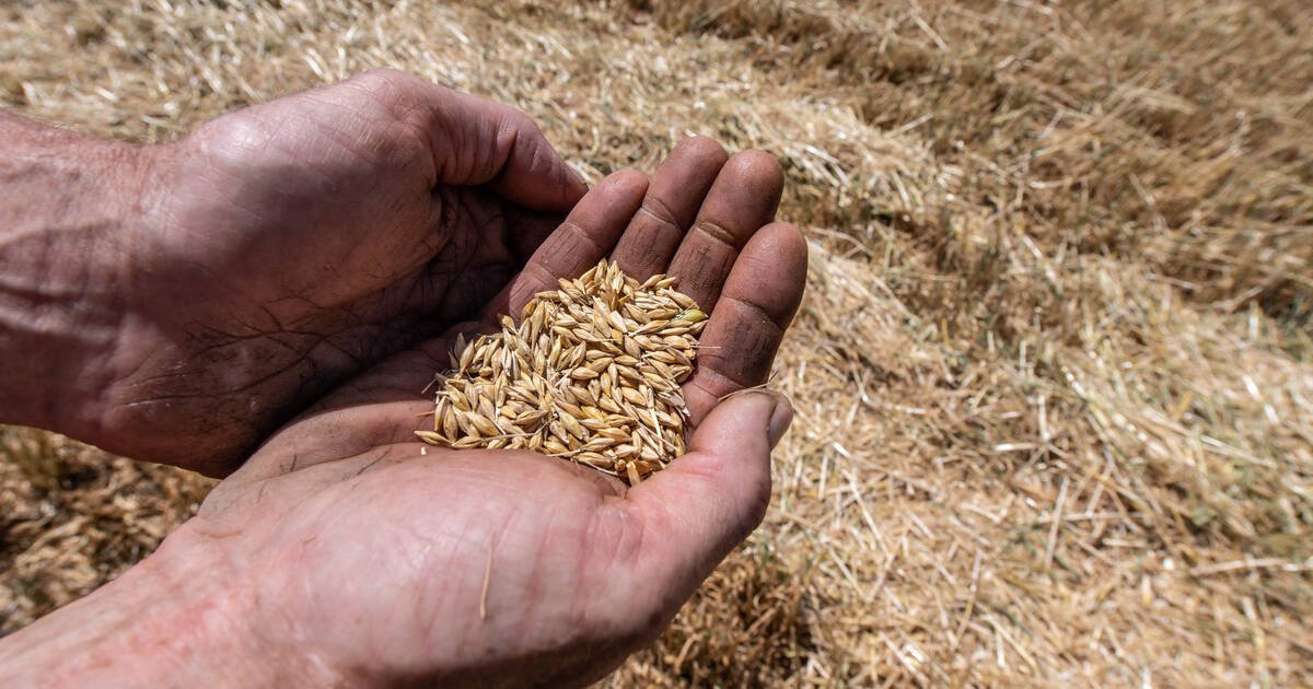 Des parlementaires français rappellent que l’agriculture contribue au réchauffement climatique