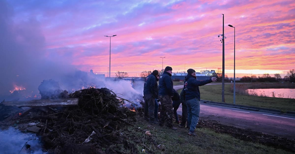 Accord avec le Mercosur : des agriculteurs déploient un «barrage filtrant» au port du Havre pour «contrôler» les camions