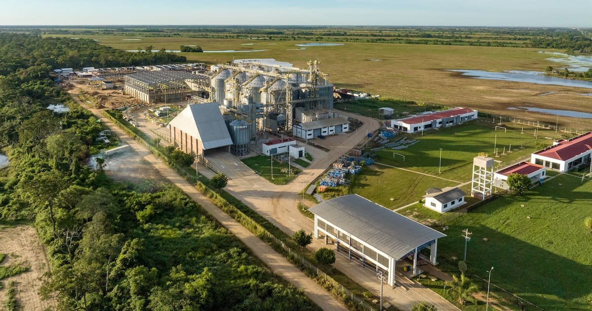 En Bolivie, à l’approche de l’élection présidentielle, l’agrobusiness a le champ libre
