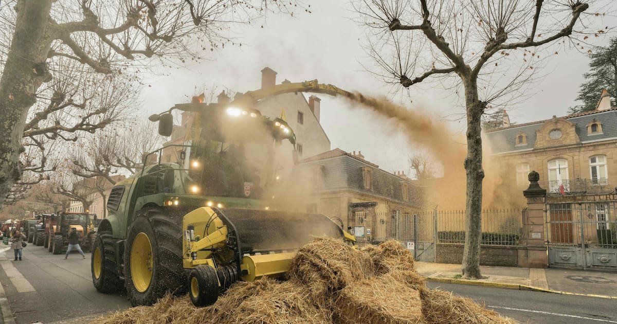 Dermatose nodulaire : la ministre de l’Agriculture au chevet des agriculteurs du Sud-Ouest, où les actions persistent