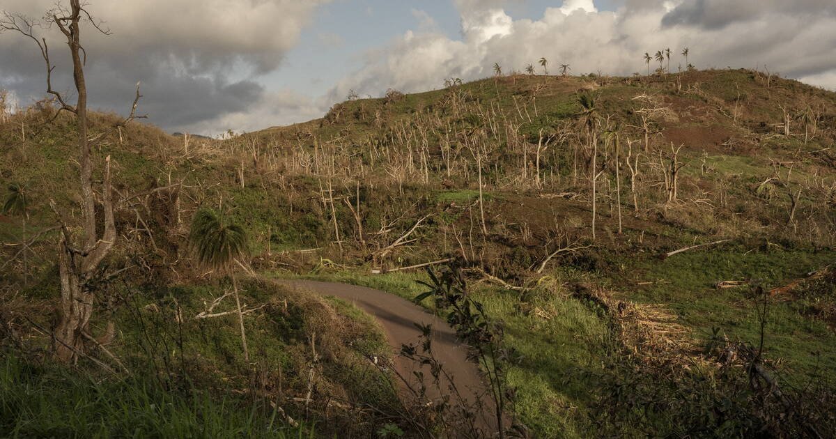 «Il faudra au moins quatre à cinq ans avant de pouvoir travailler sur mon exploitation» : à Mayotte, le désarroi des agriculteurs