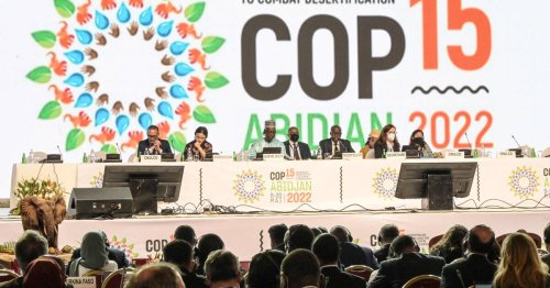 Fin de la COP15 désertification : «On a désormais une cible claire»