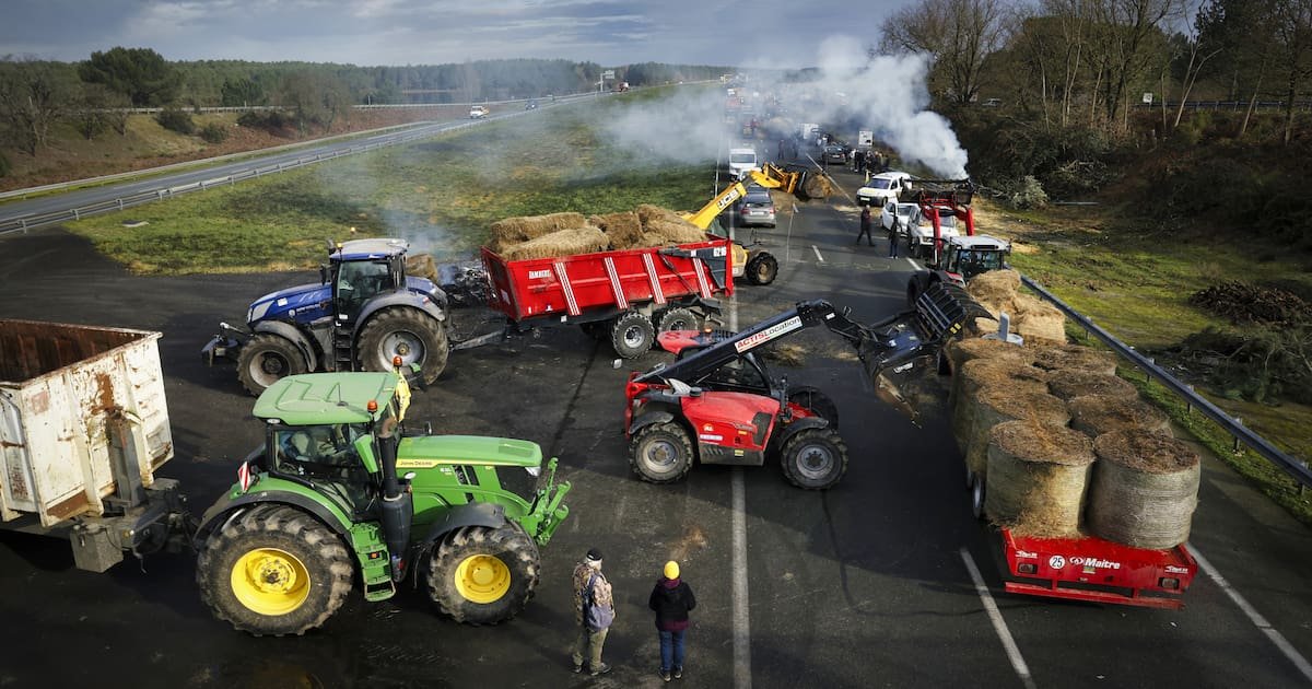 Pourquoi les agriculteurs français ne veulent pas du Mercosur