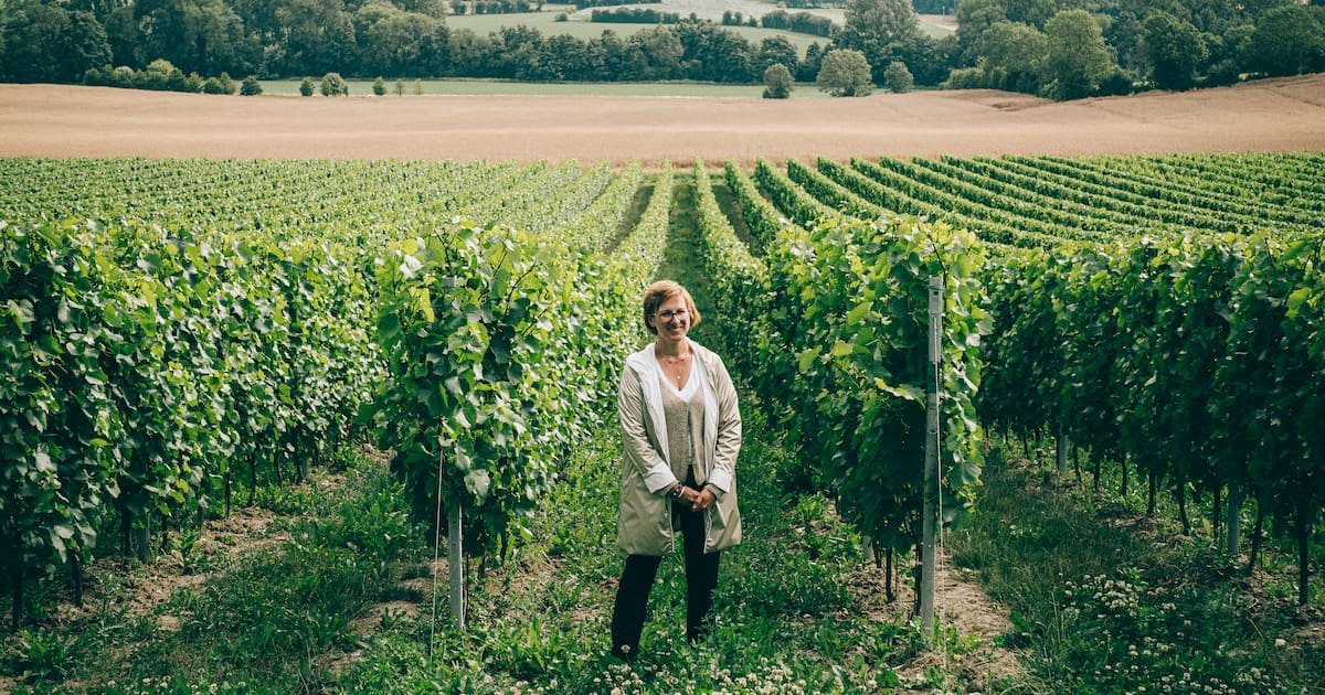 Viticulture : le Pas-de-Calais rallume le fût