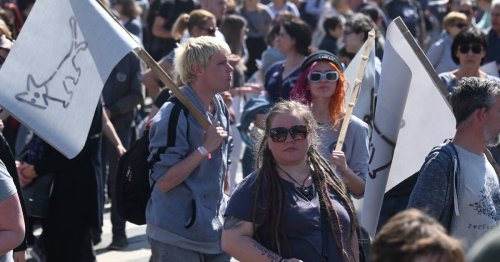 Interdiction de la Pride par Orbán, décrets transphobes de Trump : «Il est temps de protéger les droits des LGBT+», par Mélissa Camara