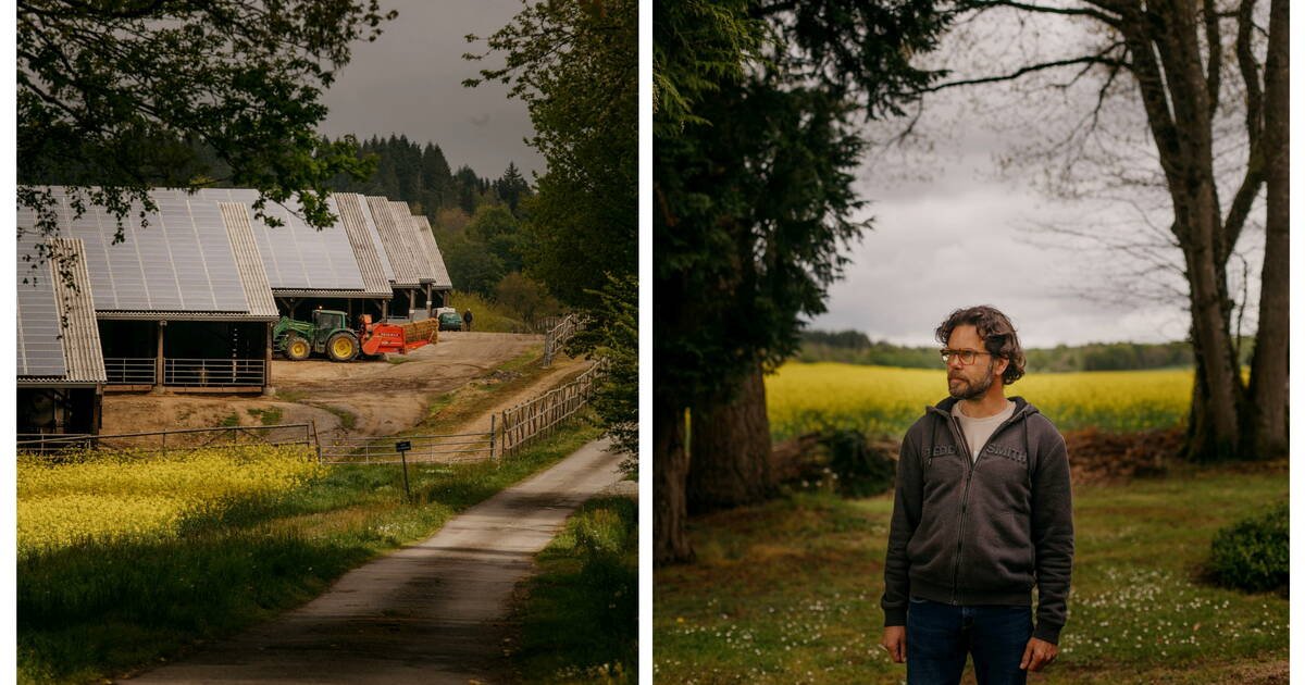 En Haute-Vienne, un projet d’engraissement de bovins symbole de deux visions de l’agriculture : «Demain, je serai à côté d’une usine»