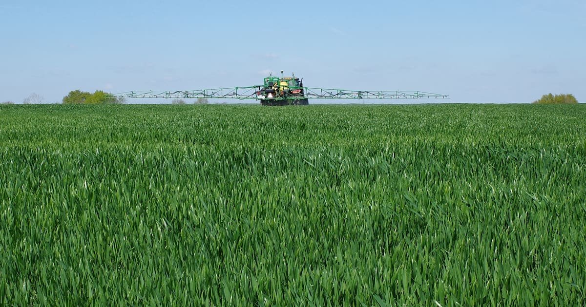 Pesticides : pourquoi l’État est condamné en appel à revoir ses protocoles d’autorisation
