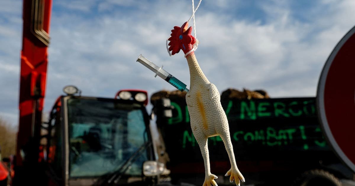 Lecornu s’attaque à la dermatose, l’UE renonce au tout-électrique, le PSG condamné face à Mbappé… L’actu de ce mardi 16 décembre