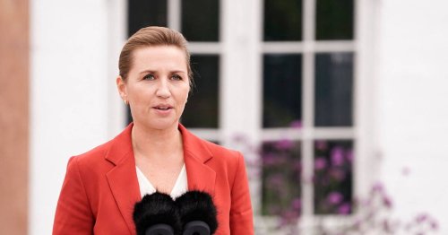 Danemark : élections législatives anticipées sur fond d’une affaire de visons