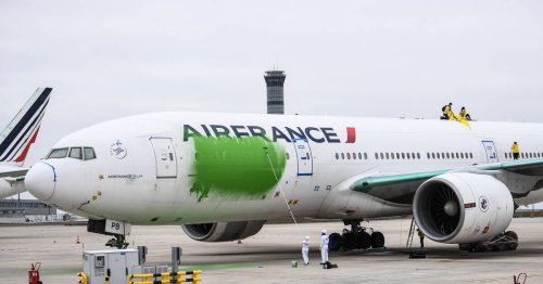 Avion repeint en vert à Roissy : neuf militants écologistes condamnés de 700 à 1 200 euros d’amende