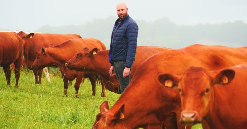 Agroécologie : Félix Noblia, paysan chercheur et fermier militant