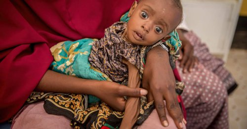 Famine dans la Corne de l’Afrique: des ONG donnent l’alerte
