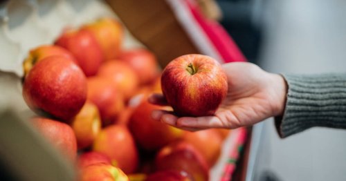 Toujours plus de pesticides dans les fruits et légumes vendus au sein de l’UE