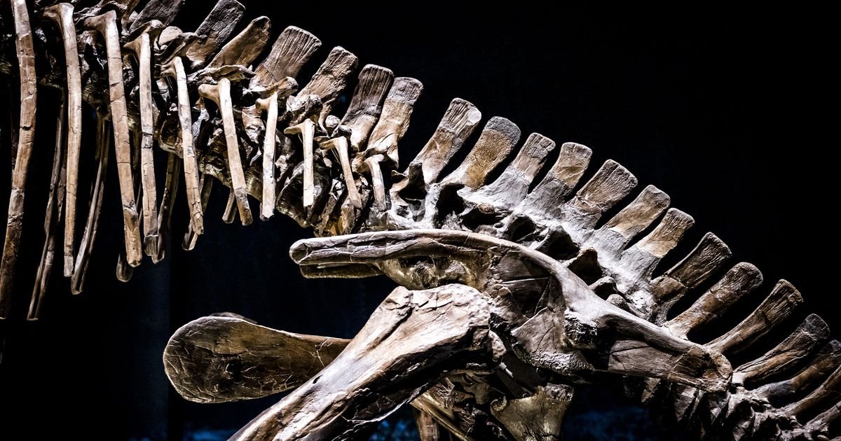 Les dinosaures ont disparu tout seuls