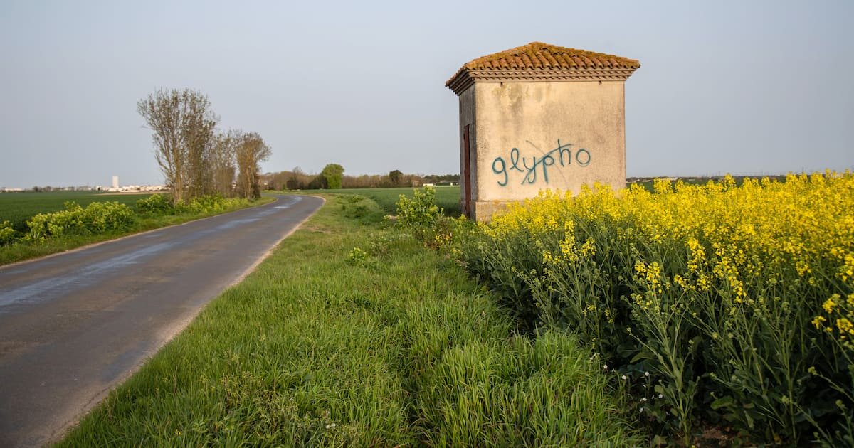 Des agriculteurs payés pour arrêter les pesticides : La Rochelle dépense 1,2 million d’euros pour sauver un captage d’eau